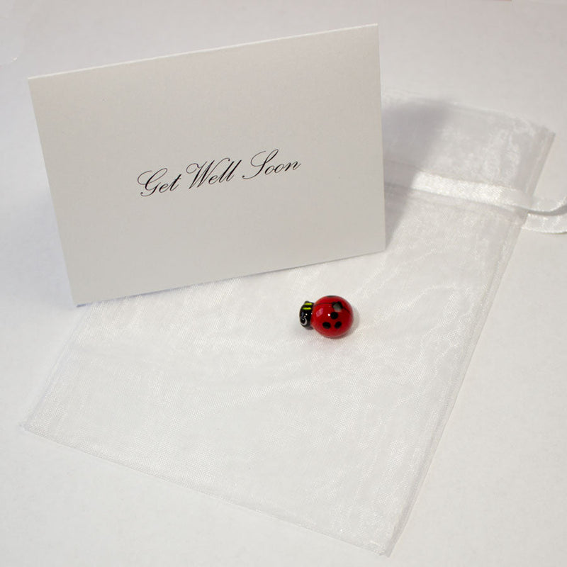 Get Well Ladybug