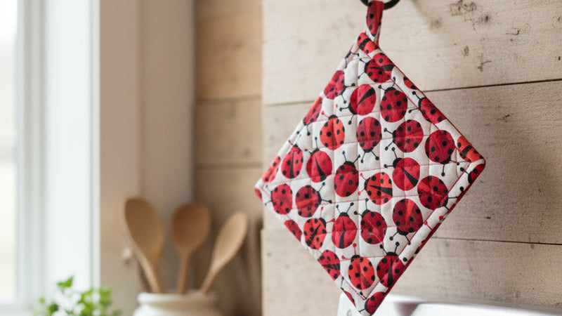 Ladybug Decorations
