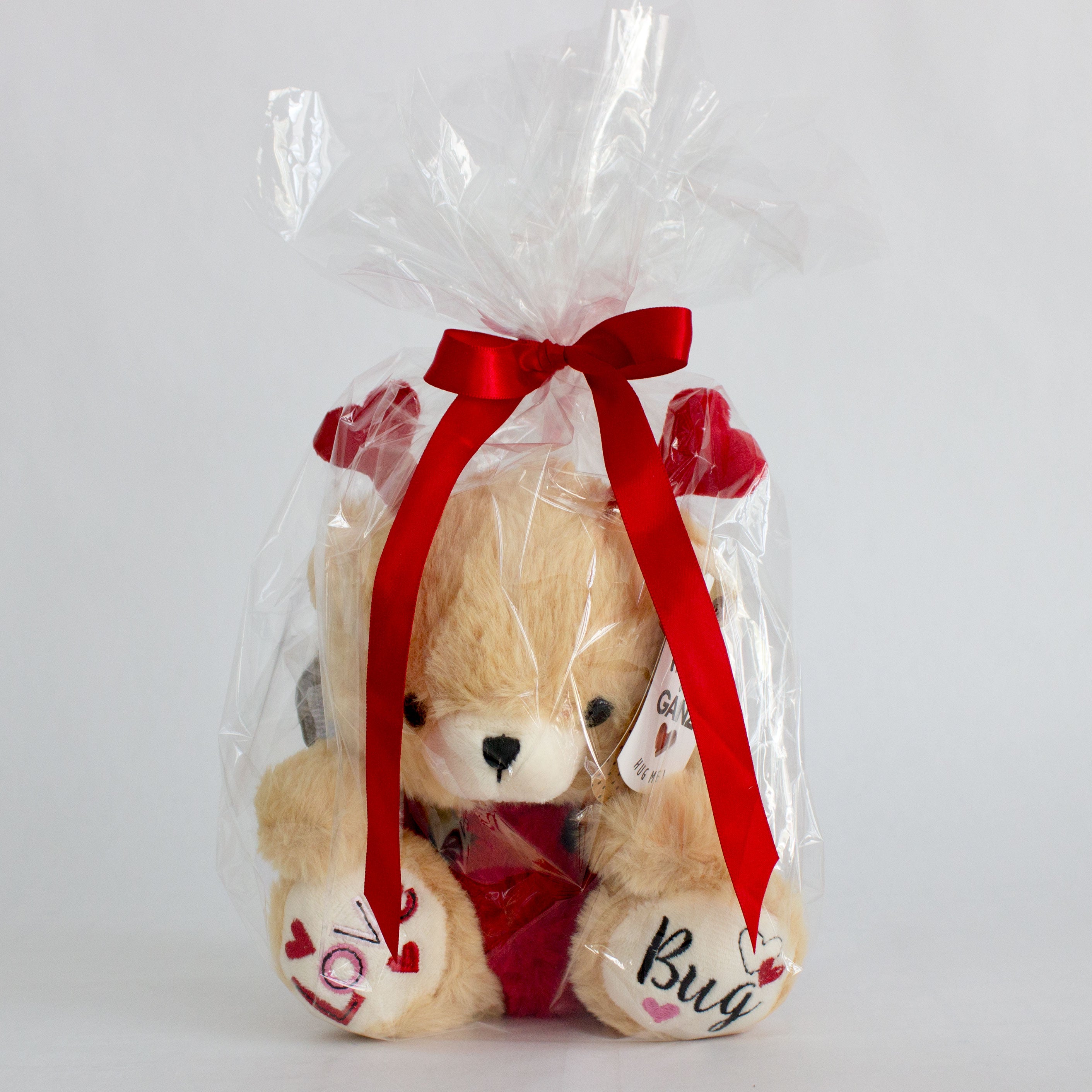 Ladybug Love Bug Teddy Bear
