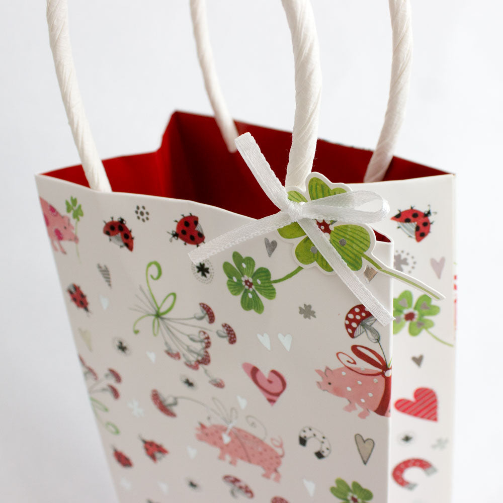 Lucky Ladybug Wine and Bottle Gift Bag
