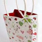 Lucky Ladybug Wine and Bottle Gift Bag