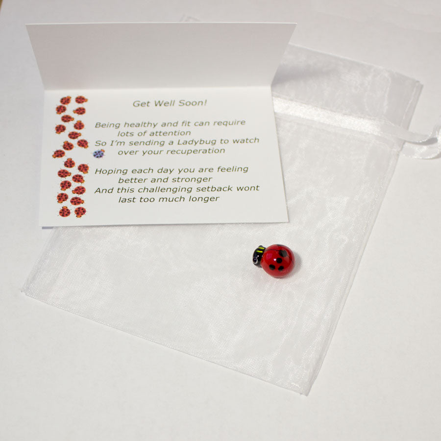 Ladybug Get Well Gift