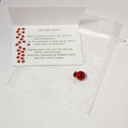 Ladybug Get Well Gift