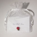 Ladybug Get Well Gift