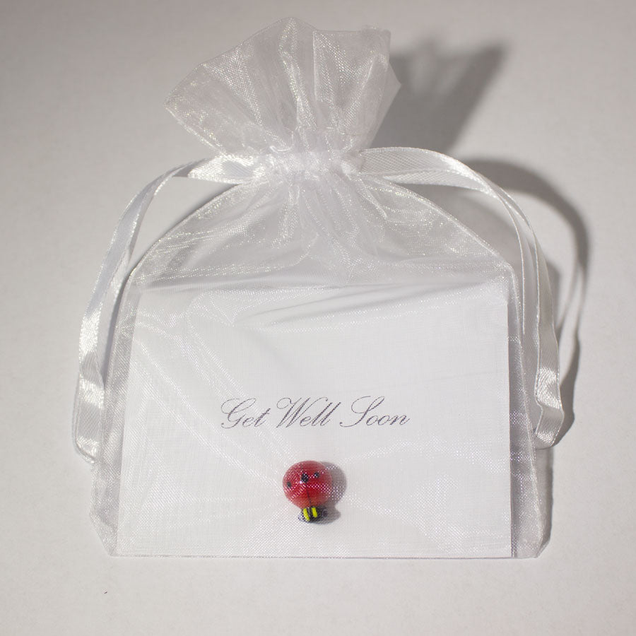 Ladybug Get Well Gift