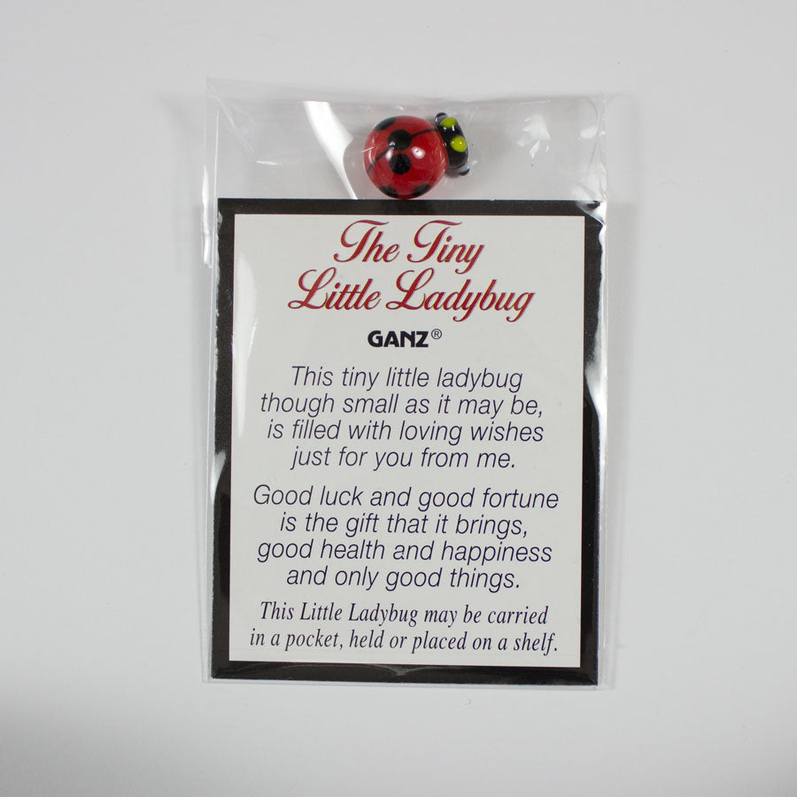 The Tiny Little Ladybug