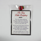 The Tiny Little Ladybug