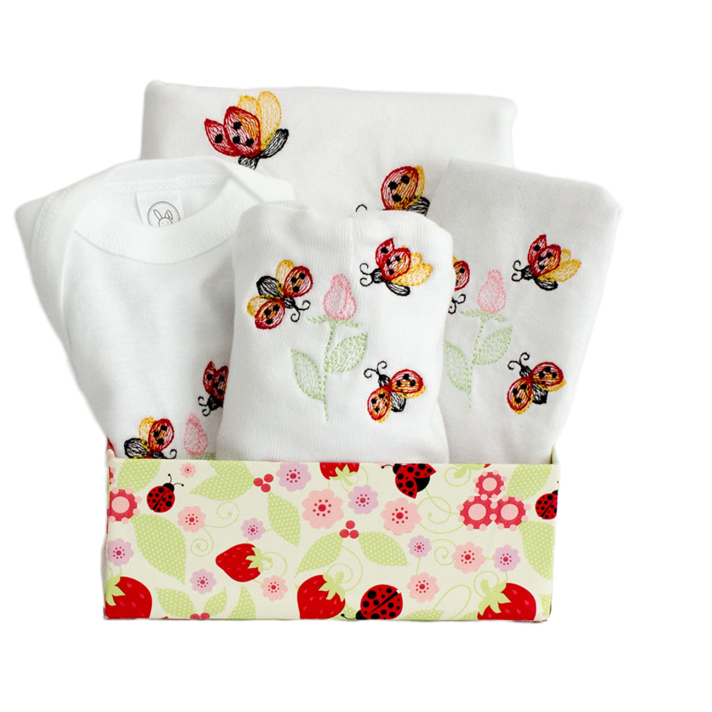 Newborn Ladybug Gift Set