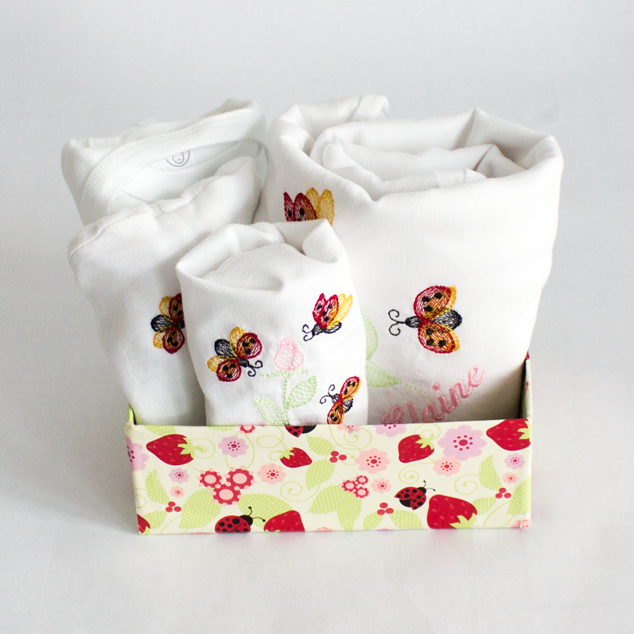 Newborn Ladybug Gift Set
