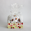 Newborn Ladybug Gift Set