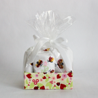 Newborn Ladybug Gift Set